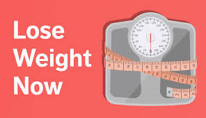 weight Loss Plan